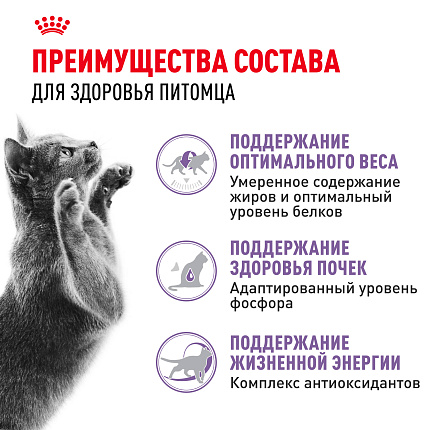 Сухой корм Royal Canin Sterilised 7+ для стерилизованных кошек в возрасте от 7 до 12 лет, 400 гр